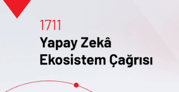 1711 - Yapay Zekâ Ekosistem 2025