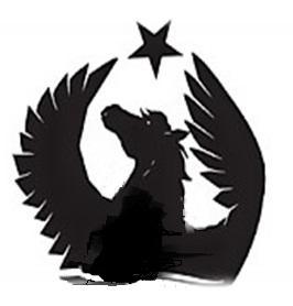 Tulpar Vtol-Drone Team logo
