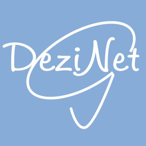 DezigNet Business Solutions logo