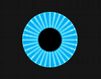 Xena Vision logo