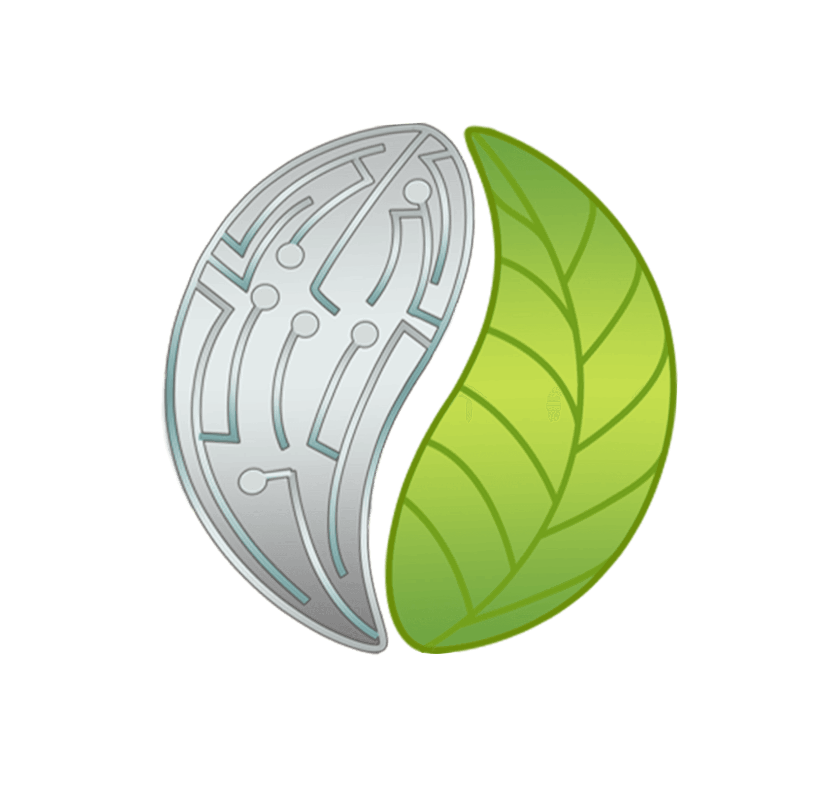 Pacem Medikal Teknoloji logo