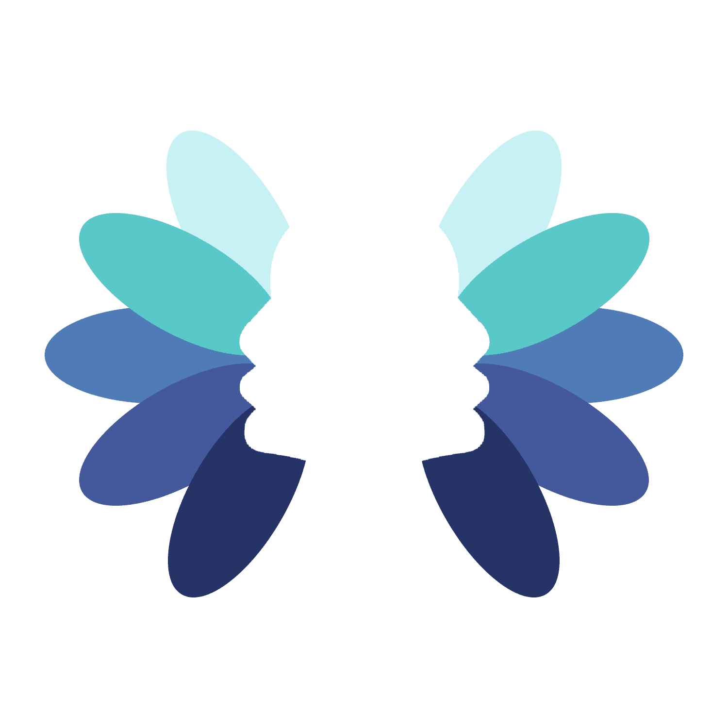 FaCiPa logo