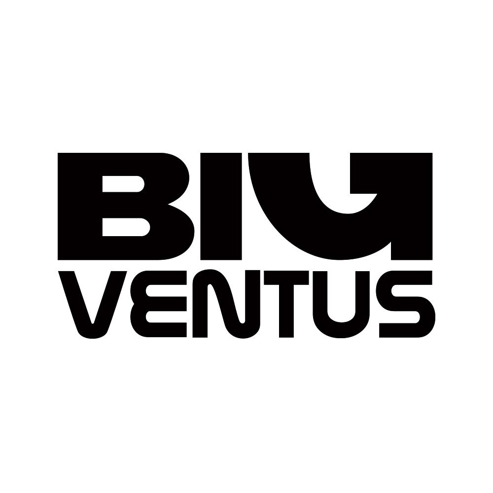 BIGVENTUS logo