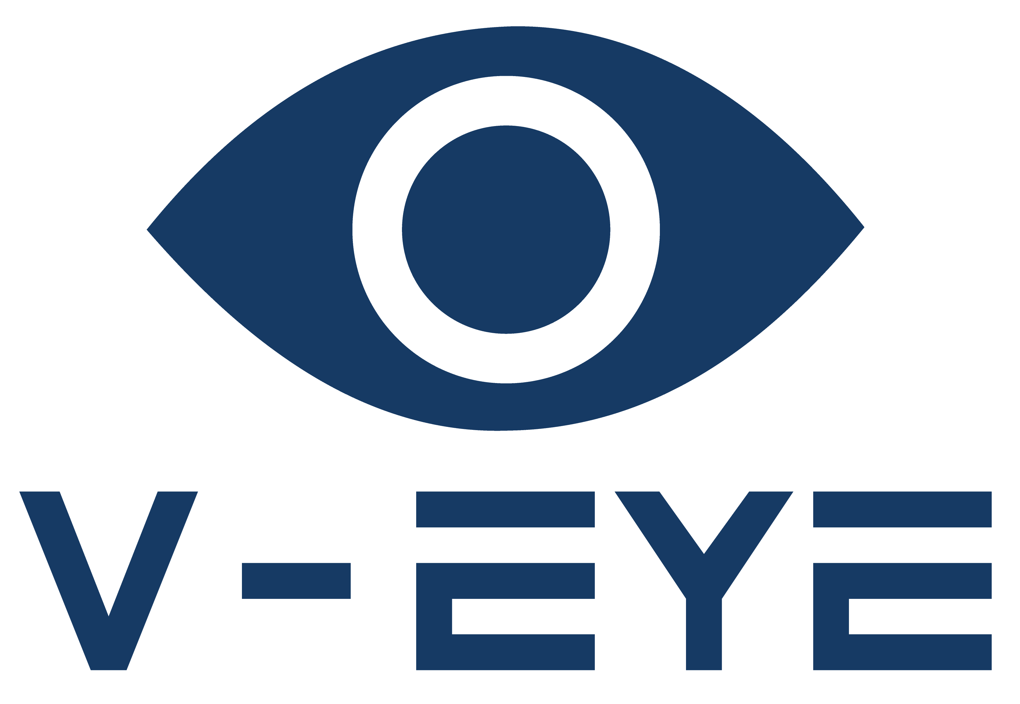 Virtual Eyes logo