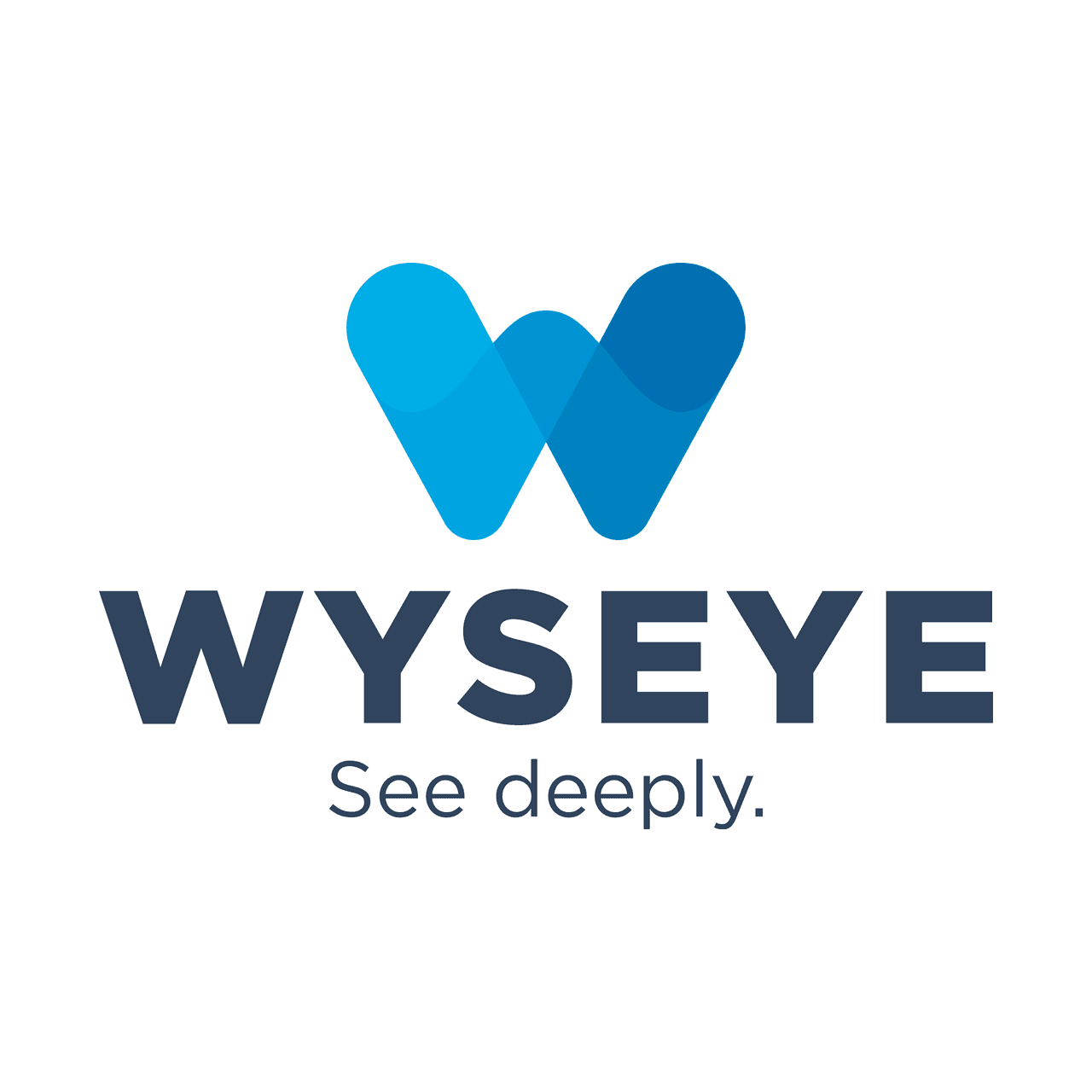 Wyseye logo