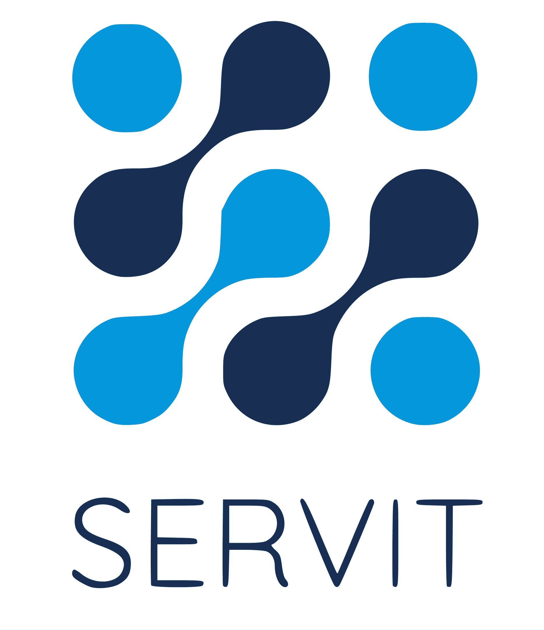 ServIT logo