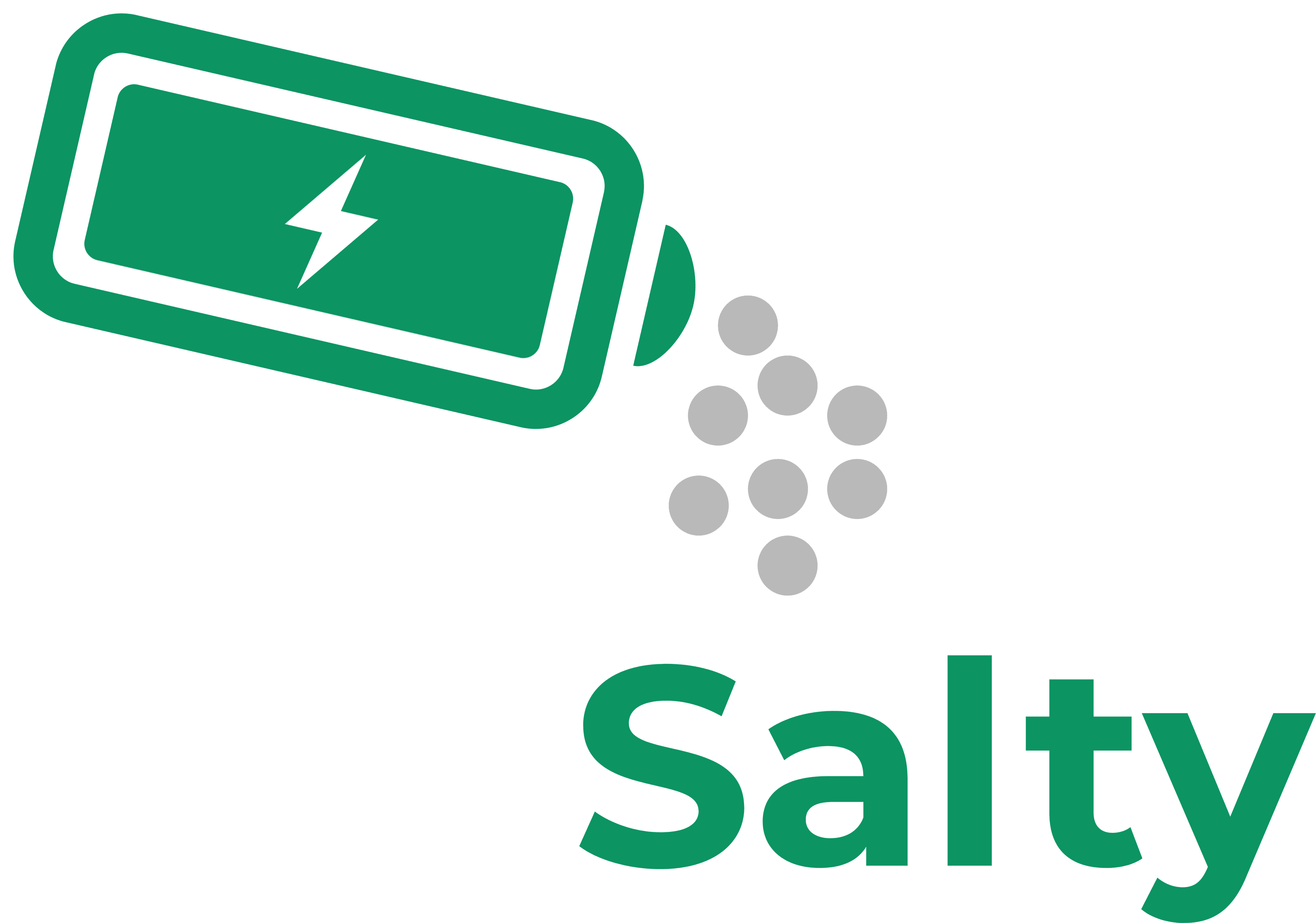Salty logo