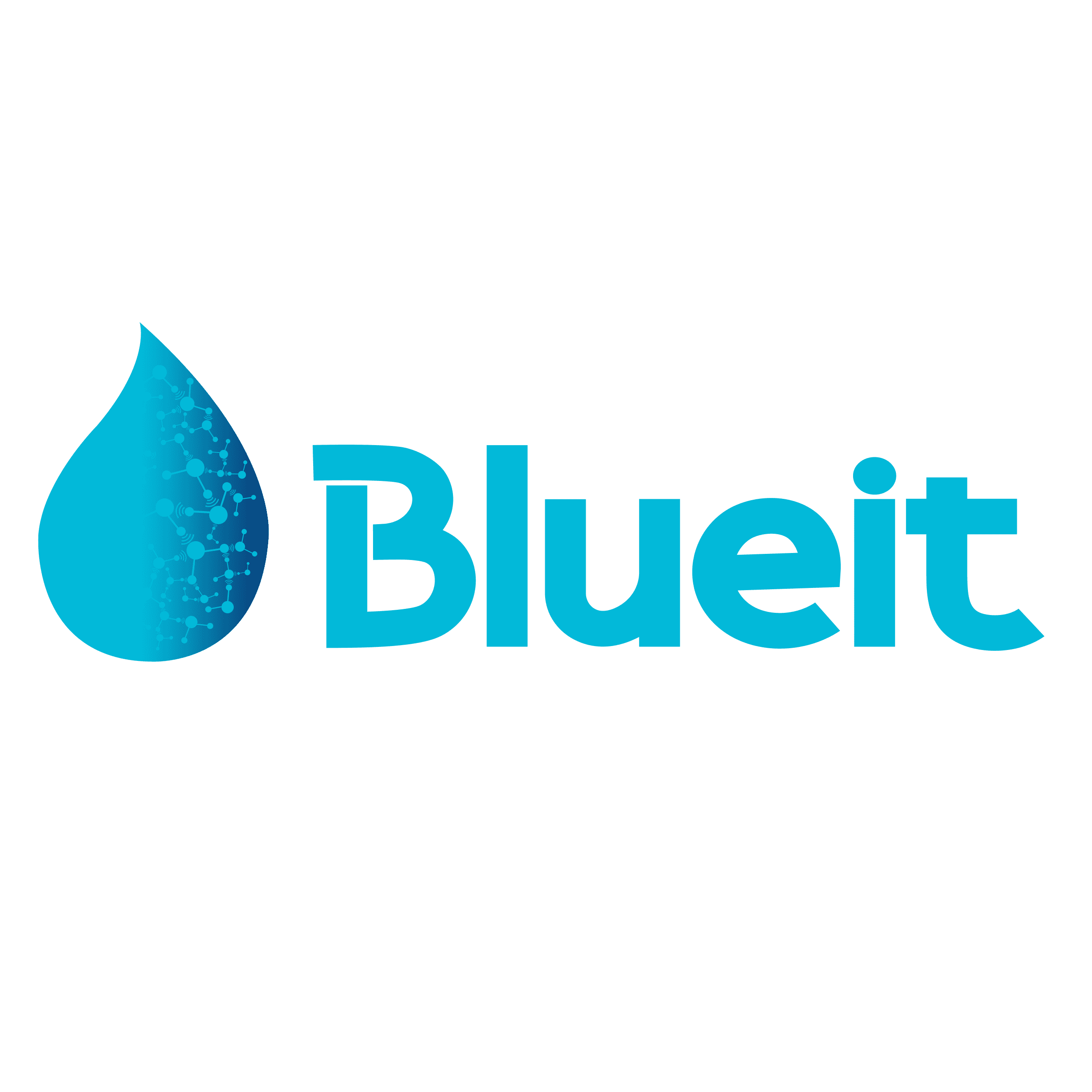 Blueit logo
