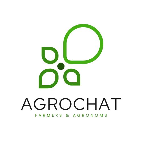 AgroChat logo