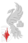 SimurgResilience