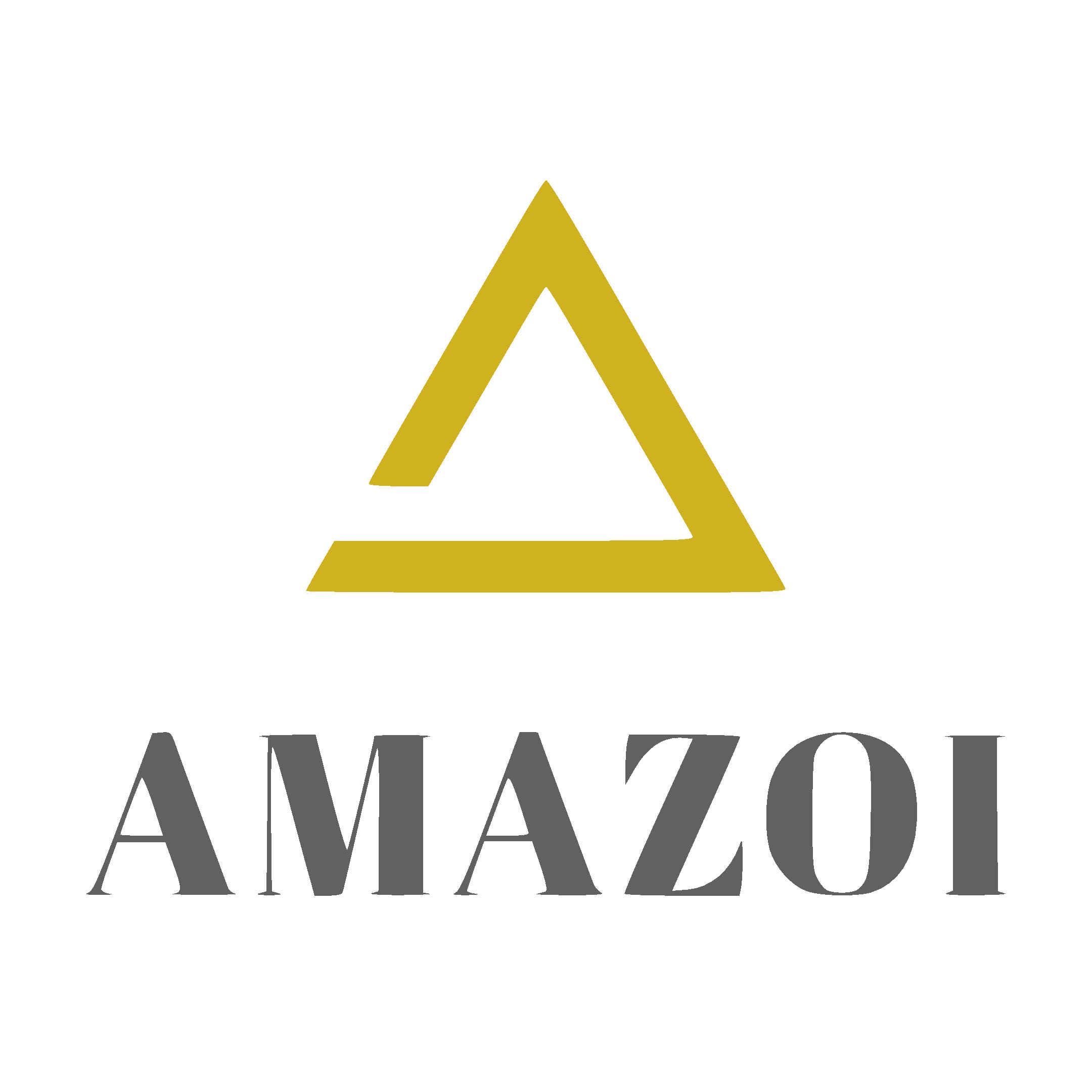 AMAZOI Software logo