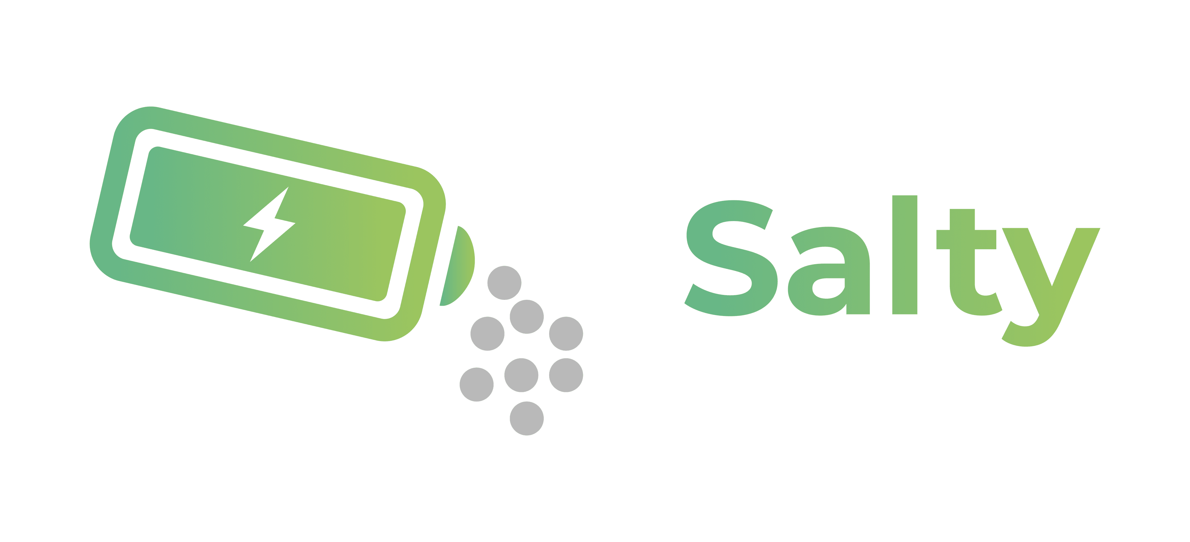 Salty Enerji Depolama logo