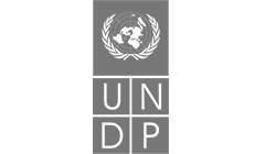 UNDP